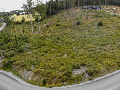 Tomten er beliggende helt nederst i feltet og har en bitteliten spasertur til Lierdammen hvor det er supert å bade!